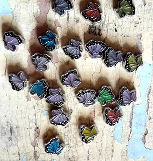 Colourful Butterflies
