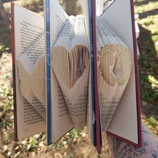 Little Designs Book Art