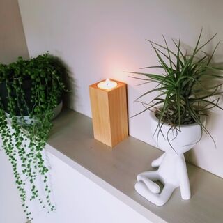 Macrocarpa Pillar Tealight