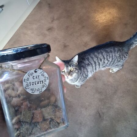 Treat Jar Tag