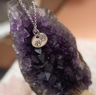 Pet Pawprint Pendant