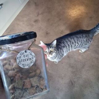 Treat Jar Tag